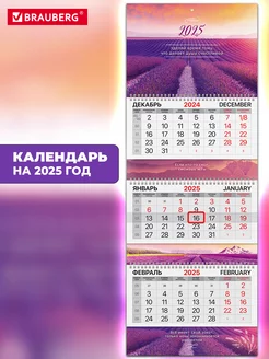 Календарь настенный квартальный отрывной 3 блока 2025 год Brauberg 239098323 купить за 283 ₽ в интернет-магазине Wildberries