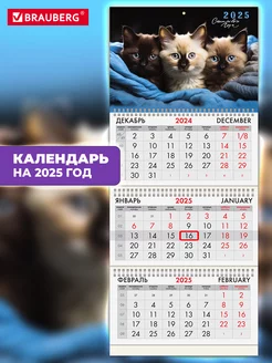 Календарь настенный квартальный отрывной 3 блока 2025 год Brauberg 239126929 купить за 260 ₽ в интернет-магазине Wildberries