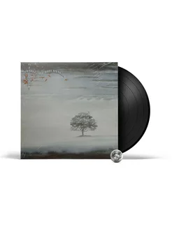 Genesis - Wind And Wuthering (LP), 2018 Виниловая пластинка