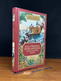 Бедственные приключения одного китайца в Китае. Книга 32