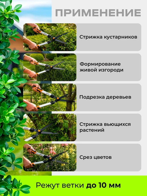 startul Ножницы садовые кусторез для живой изгороди, вариант, фото 2