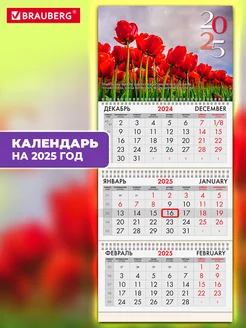 Календарь настенный квартальный отрывной 3 блока 2025 год Brauberg 239343267 купить за 218 ₽ в интернет-магазине Wildberries