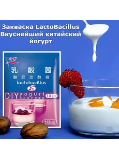 Закваска для Йогурта LactoBaclillus