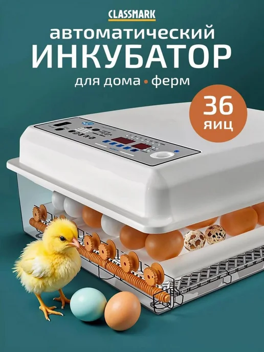 Classmark Инкубатор для 36 яиц автоматический с терморегулятором, вариант