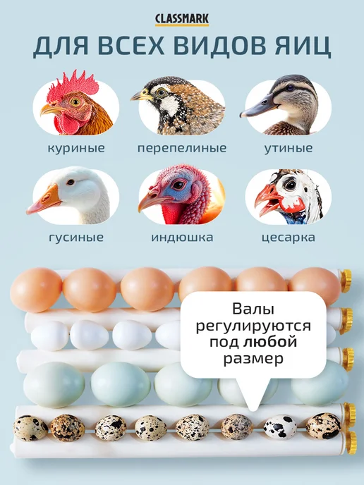 Classmark Инкубатор для 36 яиц автоматический с терморегулятором, вариант, фото 4