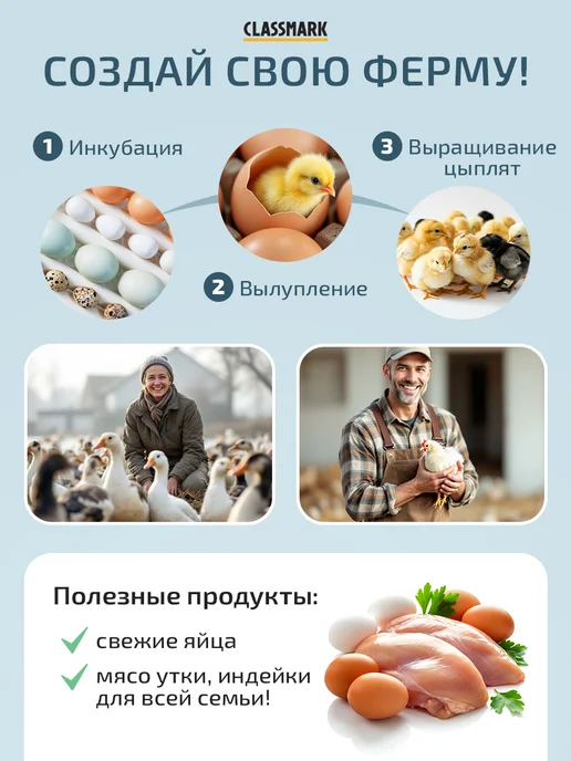 Classmark Инкубатор для 36 яиц автоматический с терморегулятором, вариант, фото 7