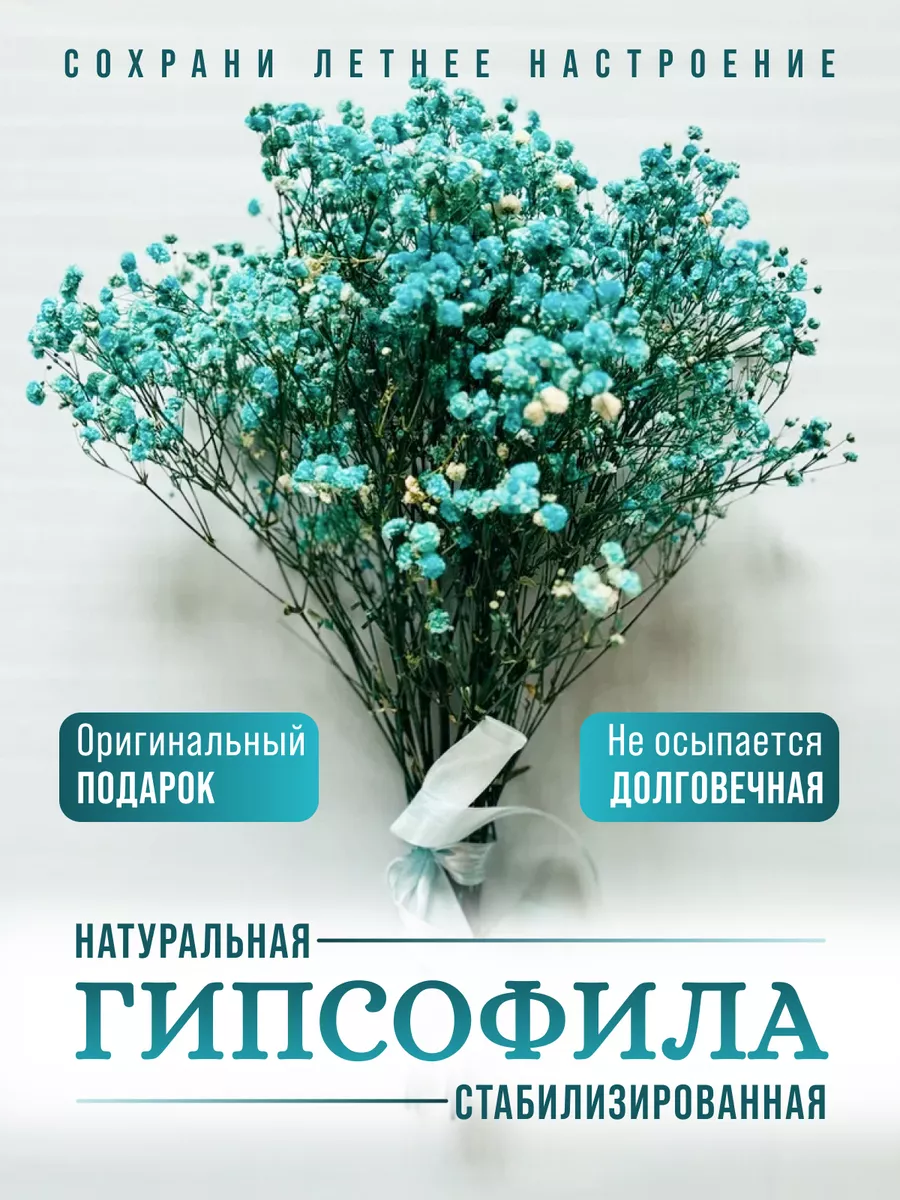 Гипсофила стабилизированная для декора