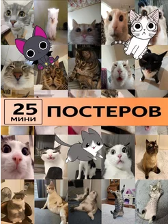 мемные котики постеры