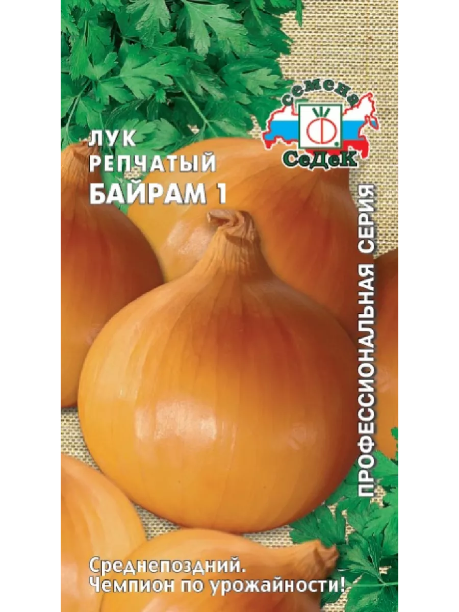 Байрам 1. Лук байрам. Как выглядит лук байран 1. 1 Лук репчатый ред Якут (0,5г) СЕДЕК/10
