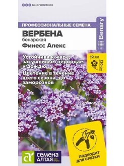 Семена Вербена Финесс Апекс бонарская, 5шт