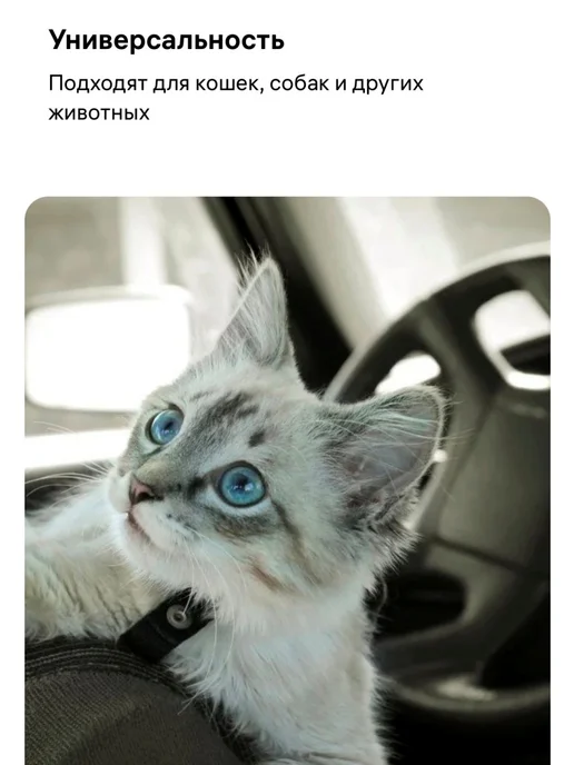 Premium cats Пеленки для собак одноразовые гелевые 30х45 25 шт, 50 шт, фото 7