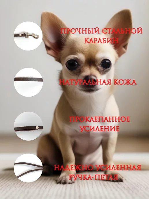 Family Hearth Ⅰ Кожаный поводок - мини, коричневый, фото 2