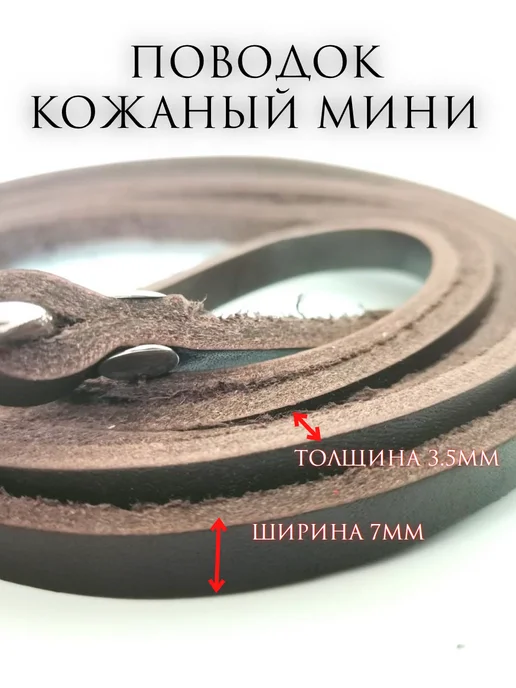 Family Hearth Ⅰ Кожаный поводок - мини, коричневый, фото 4