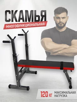 Скамья для жима складная со стойками Calviano 239798574 купить за 8 376 ₽ в интернет-магазине Wildberries