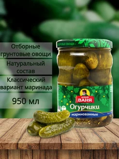 Огурцы маринованные 950 мл Дядя Ваня 239838884 купить за 235 ₽ в интернет-магазине Wildberries