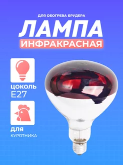 Инфракрасная лампа для обогрева птиц и животных, 150W