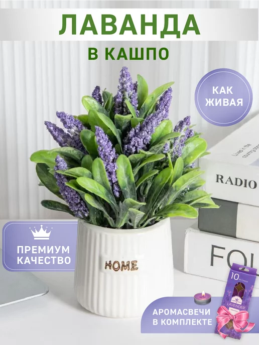 DESIGN & DECOR. Лаванда в горшке для декора