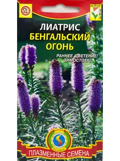 *Лиатрис Бенгальский огонь ПЛАЗМАС 239981314 купить за 115 ₽ в интернет-магазине Wildberries