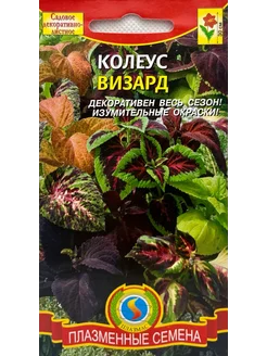 *Колеус Визард ПЛАЗМАС 239981318 купить за 138 ₽ в интернет-магазине Wildberries