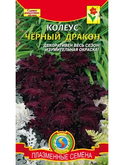 *Колеус Черный дракон ПЛАЗМАС 239981319 купить за 115 ₽ в интернет-магазине Wildberries