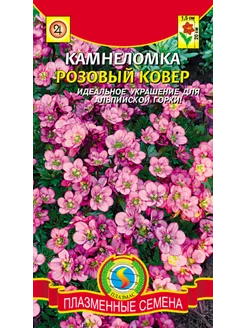 *Камнеломка Розовый ковер ПЛАЗМАС 239981321 купить за 138 ₽ в интернет-магазине Wildberries