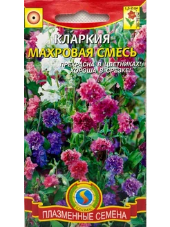 *Кларкия махровая смесь ПЛАЗМАС 239981324 купить за 115 ₽ в интернет-магазине Wildberries