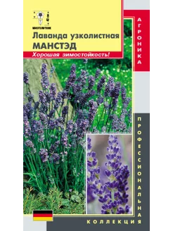 *Лаванда узколистная Манстэд ПЛАЗМАС 239981325 купить за 115 ₽ в интернет-магазине Wildberries