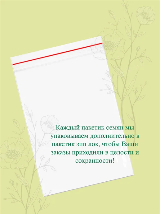 Русский огород Семена салата листового Бейби Ливз ЗЕЛЁНЫЙ смесь, зеленый, фото 5