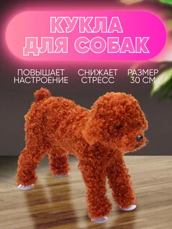 Толық қызды сиқытып, ішіне кірдім