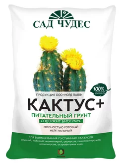 Грунт для кактусов и суккулентов