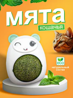 Кошачья мята шарик