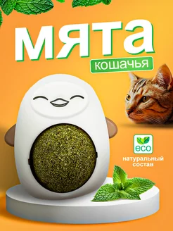 Кошачья мята шарик