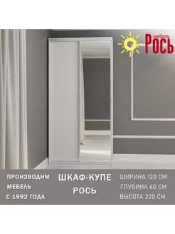 Шкаф для одежды купе с зеркалом 120х60х220