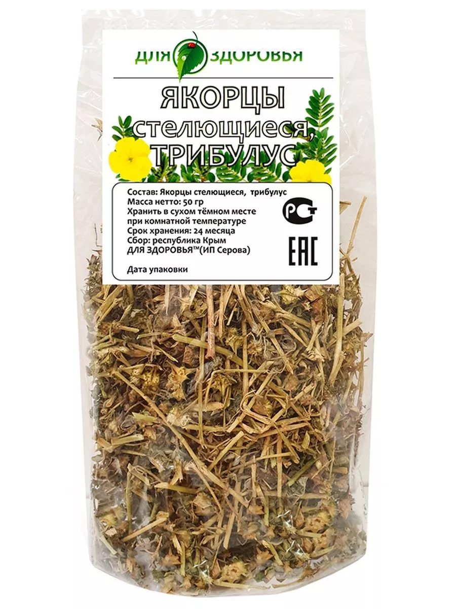 Колючка якорцы стелющиеся. Якорец стелющийся как принимать. Якорцы наземные. Трава якорец стелющийся для мужчин. Якорец стелющийся как принимать.