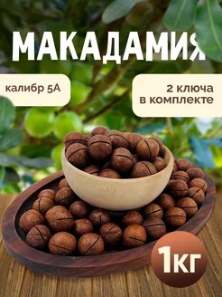 Орех Макадамия Nuts4U 240258018 купить за 678 ₽ в интернет-магазине Wildberries