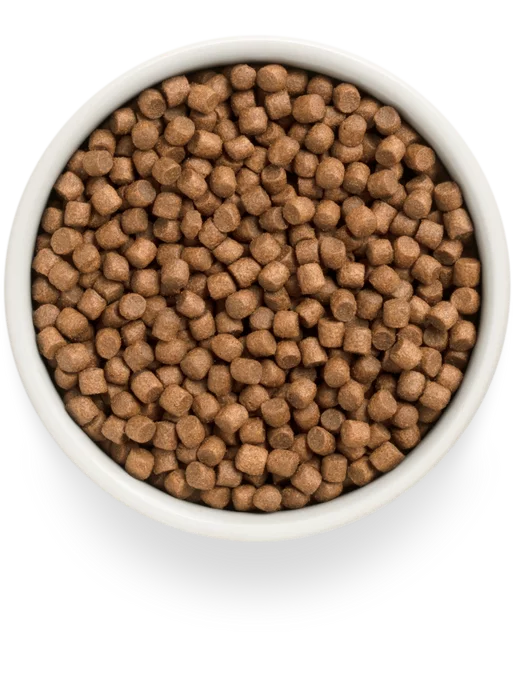 Сухой корм Grandorf fresh для собак, беззерновой, щенки, ягненок, 3 кг, фото 4