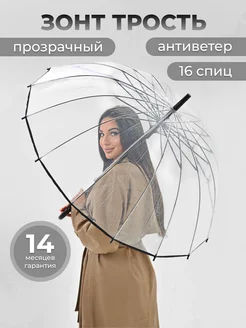 Зонт трость прозрачный полуавтомат Popular Umbrella 240451096 купить за 1 093 ₽ в интернет-магазине Wildberries