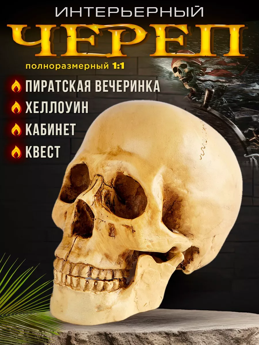 Череп декоративный состаренный 19см