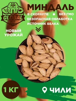 Миндаль в скорлупе GLOBALNUTS 240510703 купить за 959 ₽ в интернет-магазине Wildberries