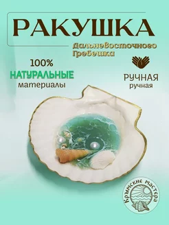 Декоративная подставка из натуральной ракушки